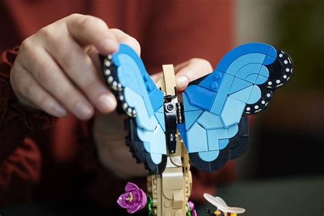 Lego Ideas The Insect Collection Revealed