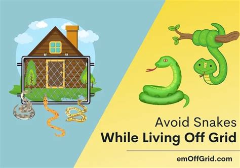 Avoid Snakes While Living Off Grid (5 Signs of Identification & Dealing ...