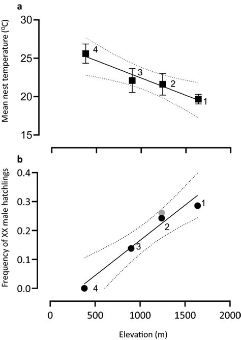 The Frequency Of Sex Reversal In Nests Bassiana Duperreyi A Linear Download Scientific