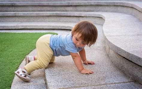 Baby Crawls Up The Stairs Stock Image Image Of Little 244939485