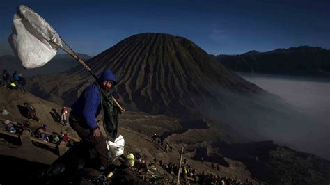 Foto Bromo Dan Semeru Jadi Habitat Macan Tutul Di Jawa Timur