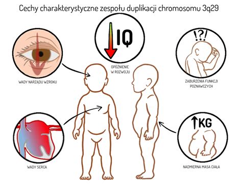 Zespół duplikacji chromosomu 3q29 Objawy Badanie Leczenie