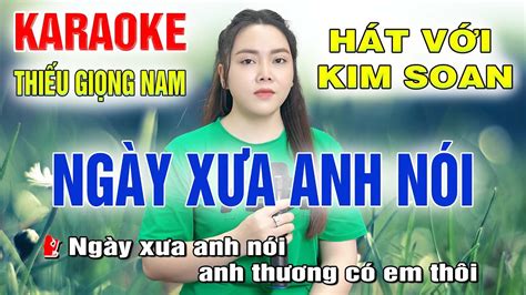 Ng Y X A Anh N I Song Ca C Ng Kim Soan Karaoke Thi U Gi Ng Nam Karaoke