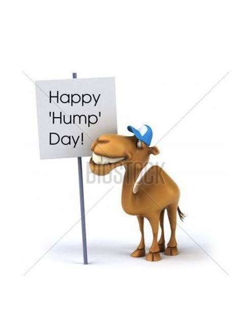 Good Morning Happy Hump Day Camels Artofit