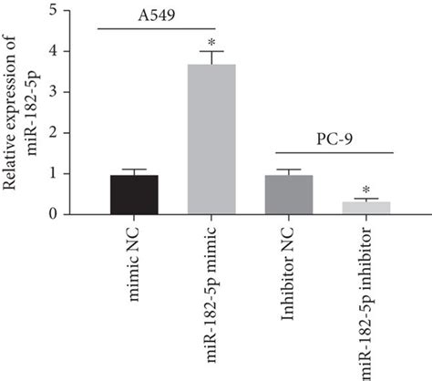 Mir 182 5p Hastens Cell Proliferation Migration And Invasion Of Luad Download Scientific