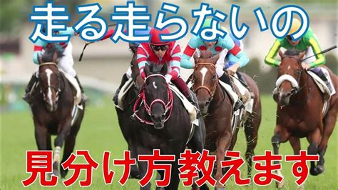 【切り抜き】本命にした馬が馬券圏内に来るかどうかを見極める方法 競馬予想 平場予想 Youtube