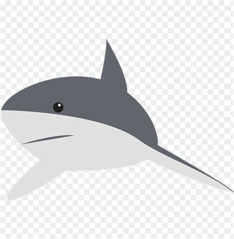 Shark Perspective Swimming Fin Animal Gray Gray Shark Cartoo Png