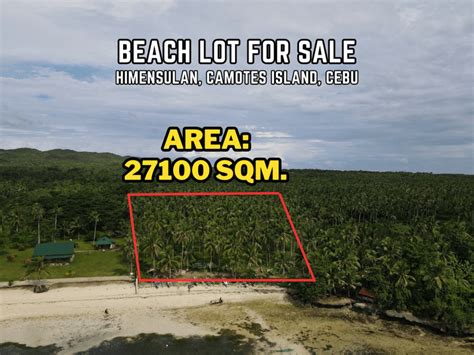 Pristine White Sand Beach Lot For Sale In Himensulan Camotes Island