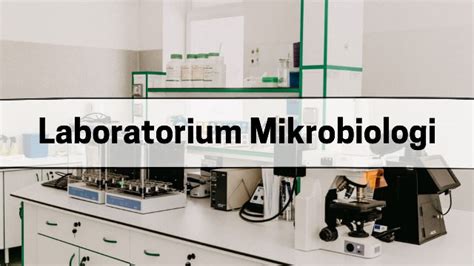 Laboratorium Mikrobiologi Pengertian Dan Alat Mikrobiologi