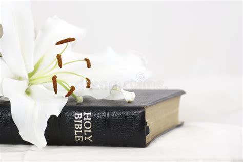 Bible And Flower Stock Photo Image Of Holidays Background