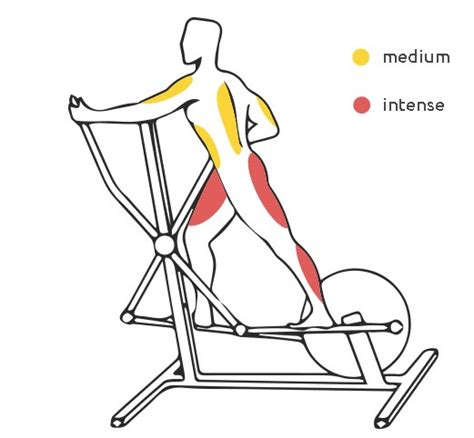 What Muscles Does A Stationary Bike Work Atelier Yuwa Ciao Jp