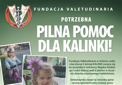 Kalinka Potrzebuje Naszej Pomocy Awl