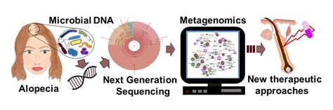 Biomedicines Free Full Text The Potential Relevance Of The