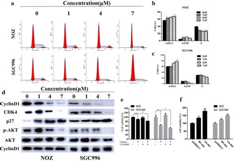 Casticin Induces G0 G1 Arrest By Inactiving The AKT Pathway Ac NOZ