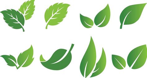 Set Of Abstract Isolated Green Leaves Icons On White Background