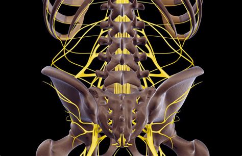 Sciatica Symptoms Causes Diagnosis And Treatment