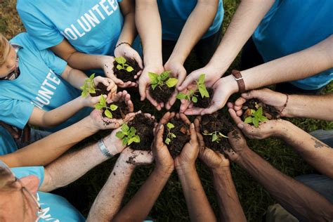 Portal de Educação Ambiental