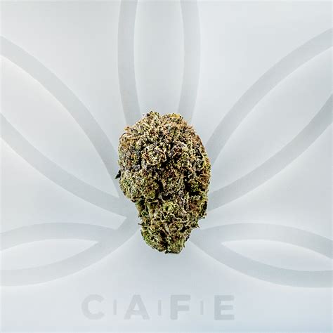 Bubba Hash Strain | CAFE