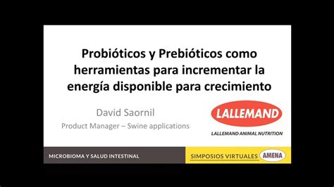 Probi Ticos Y Prebi Ticos Como Herramientas Para Incrementar La Energ A