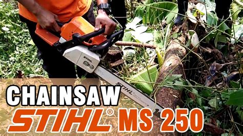 Chainsaw Stihl Ms 250 Youtube