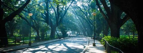 Cubbon Park Bangalore - list in Bangalore