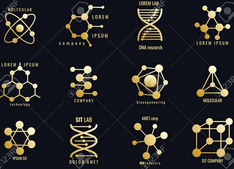 Las Macromol Culas Su Concepto Funciones Tipos Y Estructura