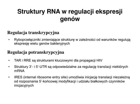 Ppt Przewidywanie S Truktur Rna Powerpoint Presentation Free Download Id4622278