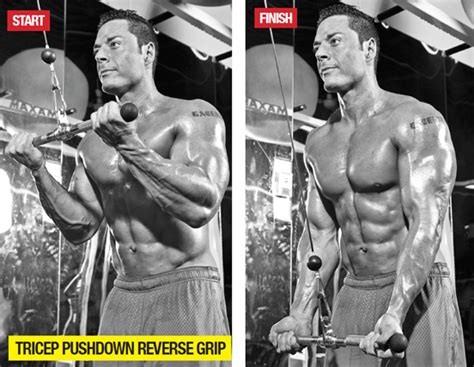 Reverse Grip Cable Triceps Pushdown • Bodybuilding Wizard