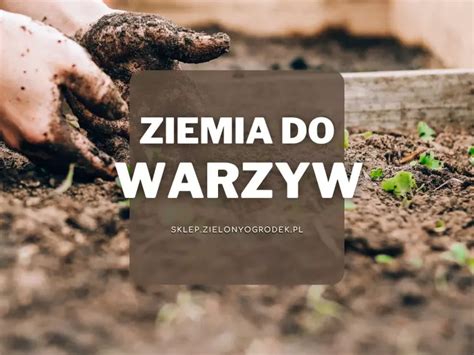 Wybierz ziemię dla warzyw i zapewnij im dobry start Zielony Ogródek