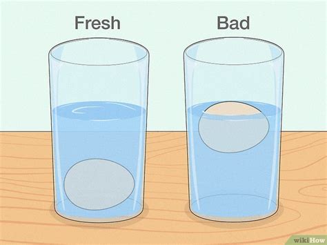 Egg Float Test Myth Is It Accurate