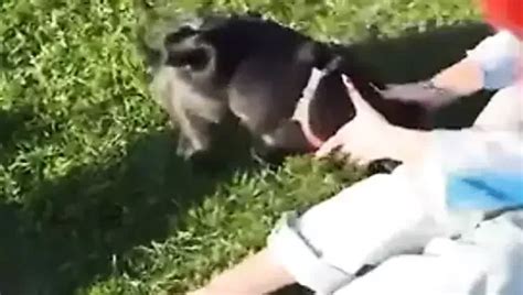 The Dramma Queen Video Homemade Amateur Porn By My Club XHamster