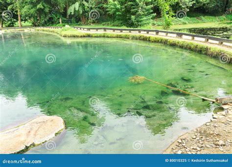 Peaceful Natural Hot Springs In A Forest Stock Image Image Of Country Color