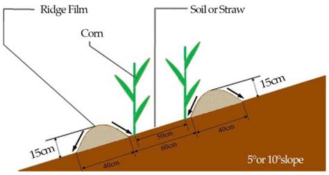 Agriculture Free Full Text Efficient Utilization Mechanism Of Soil