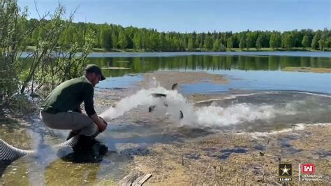 Alaska Department Of Fish And Game Stock Chena Lakes YouTube