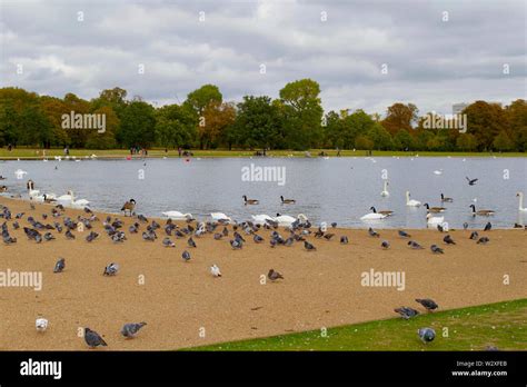 Kensington Gardens, London Stock Photo - Alamy