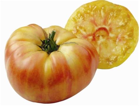 Graines De Tomate Ananas Jaune Solanum Lycopersicum Boutique V G Tale