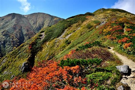 紅葉の大朝日岳 朝日町 ヤマガタイメージズ 山形を旅するように楽しむストックフォトサービス