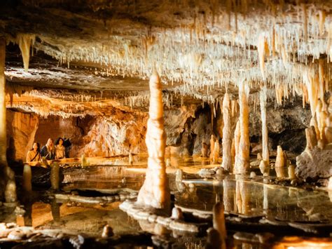 Buchan Caves Guided Tours, Tour, Gippsland, Victoria, Australia