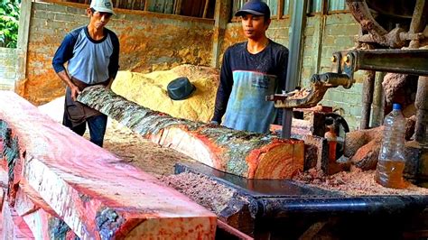 Luar Biasa Kayu Wadang Super Tua Serat Merah Disawmil Jadi Balok