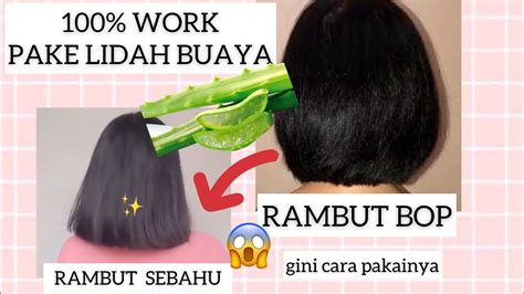 Tips Memanjangkan Rambut Cepat Sinau