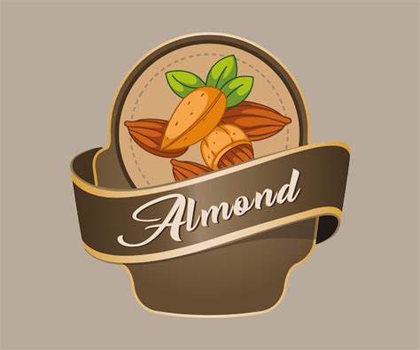 Premium Vector Almond Nut Vector Sticker