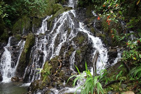 Rainforest Colombia Infinita