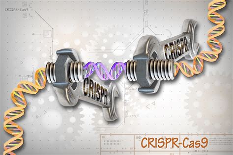 Utilidad Del Sistema Crispr Cas De Edici N Del Genoma Para El