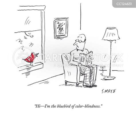 Bluebird Of Happiness Cartoons