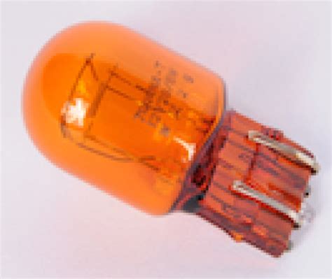 2010 2024 GM Multi Purpose Light Bulb 13579188 GM GMPartsDirect