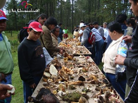 Tips Chihuahua Turismo En Chihuahua Te Habla Sobre Las Actividades De