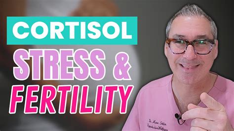 How Stress Affects Fertility And Hormones The Truth Revealed Youtube