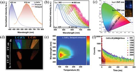 Integrating FullColor 2D Optical Waveguide And Heterojunction