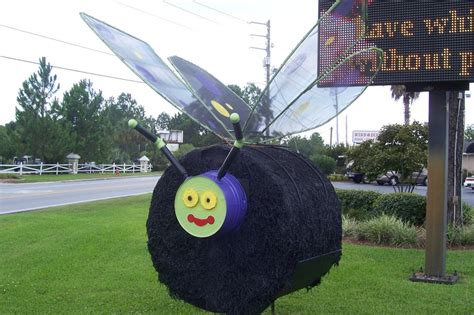 Butterfly Hay Bale Bauman Chiropractic Panama City Fl