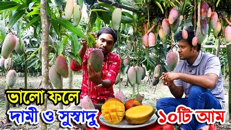 সবচেয়ে দামি আম চাষ সবচেয়ে ভালো ফলে ১০টি দামী ও সুস্বাদু আম বিশ্বের সবচেয়ে দামি আম Youtube